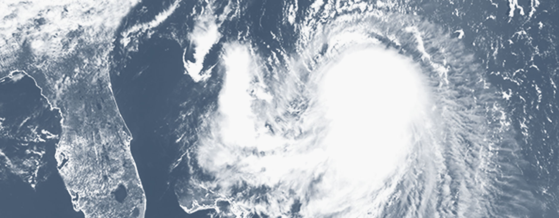 Hurricane Francine Insurance Claims page header